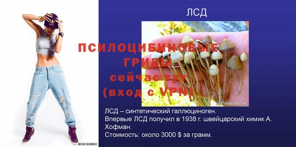 mdma Елизово
