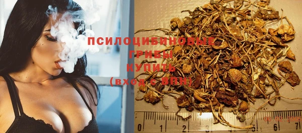 дживик Заволжск