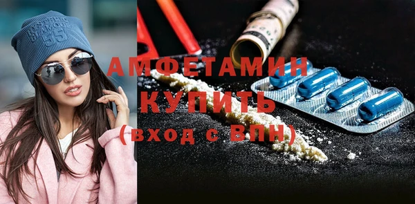 мдпв Елабуга