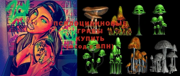 дживик Заволжск