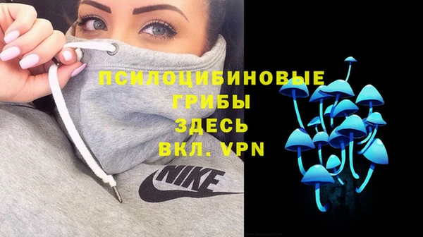 альфа пвп Заволжье