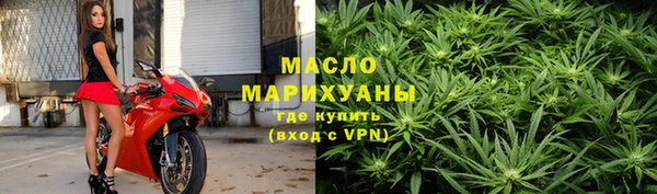 мдпв Елабуга