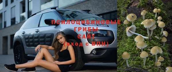 альфа пвп Заволжье