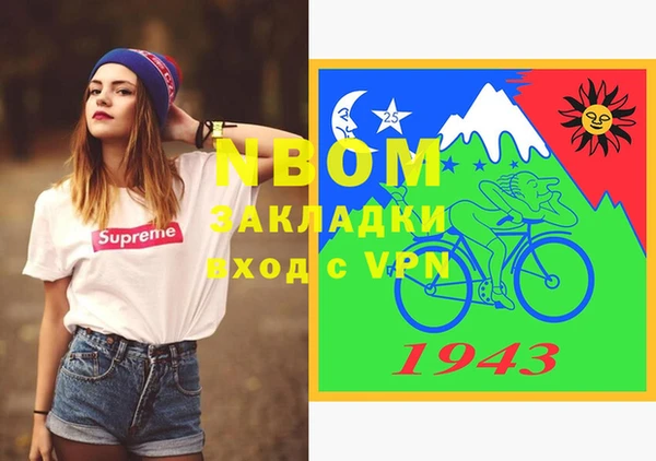 мдпв Елабуга