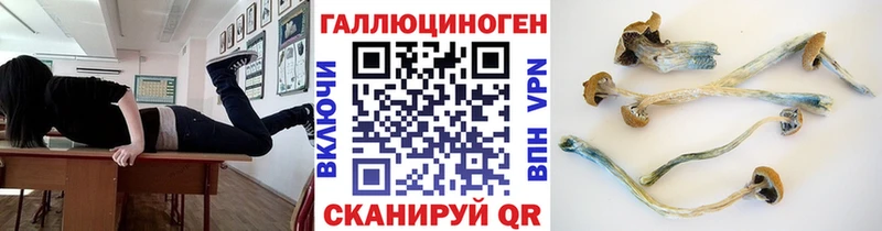 Купить где  Зубцов  Псилоцибиновые грибы мухоморы 